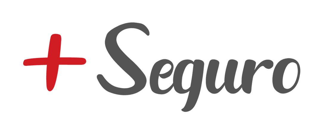 seguro2